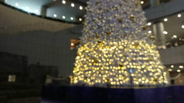 あえてピントを外してみました