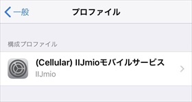 iPhoneで正しいAPNが選択されている状態