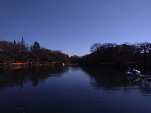ZenFone 4 Max カメラ作例:井の頭公園(昼・自然光)