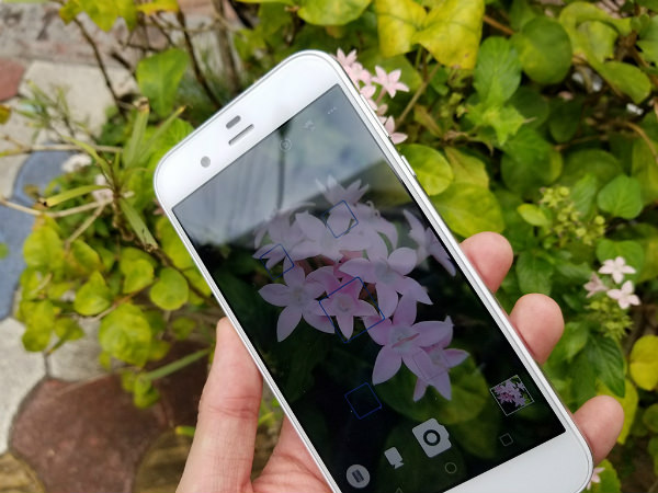 AQUOS R カメラ作例:これだけ近くで撮影してもしっかりとピントが合う