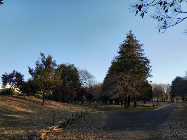 公園にて撮影した一枚