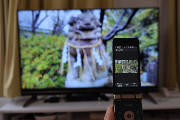 撮影した写真をテレビ画面で楽しめる