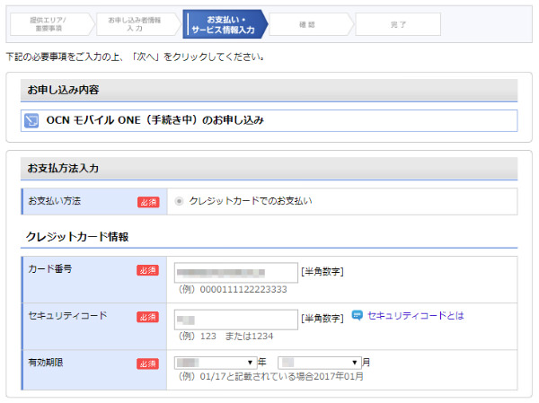 クレジットカード以外に一部のデビットカードも使用できる