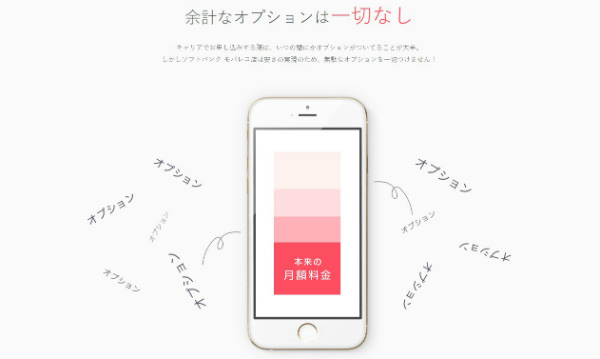 不要なオプションを排除して安さを追及!