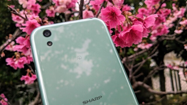 ワイモバイルの取扱機種は?