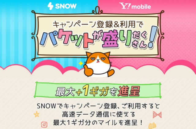 SNOWを使ってマイルをもらおう