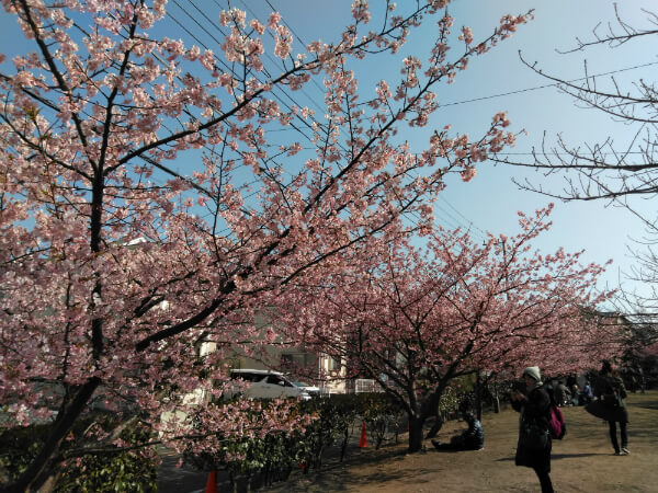 Android One S4作例:風景写真