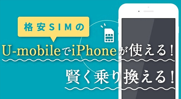 iPhoneでもAndroidでもドコモ回線に対応していれば基本オーケー