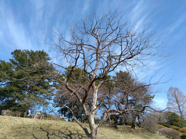 REI 2 Dual作例:HDRオフ(1枚目)とHDRオン(2枚目)。HDRの効果で写真が全体的に明るくなり、バランスがとれた
