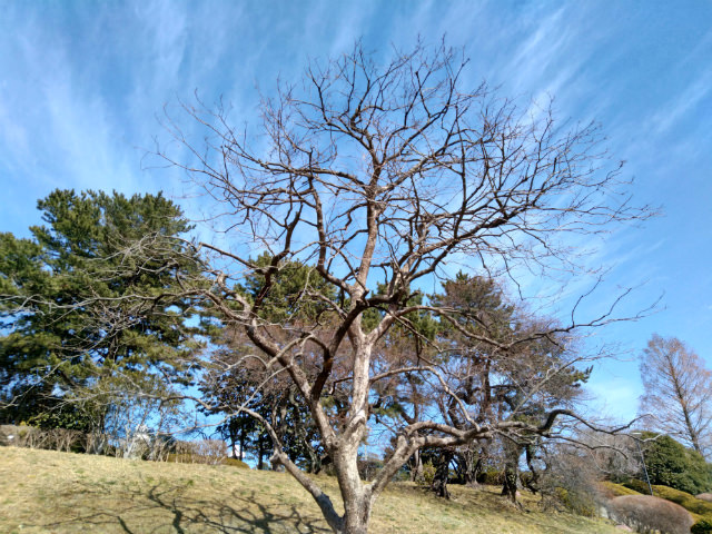 REI 2 Dual作例:HDRオフ(1枚目)とHDRオン(2枚目)。HDRの効果で写真が全体的に明るくなり、バランスがとれた