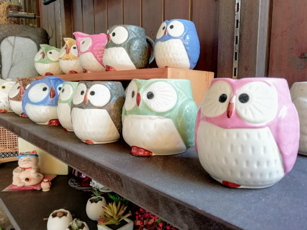 フクロウのグラス