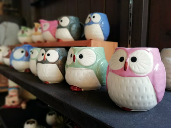 フクロウのグラス