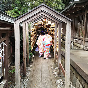 AQUOS sense liteで撮影:縁結びで有名な川越氷川神社、絵馬がいっぱい