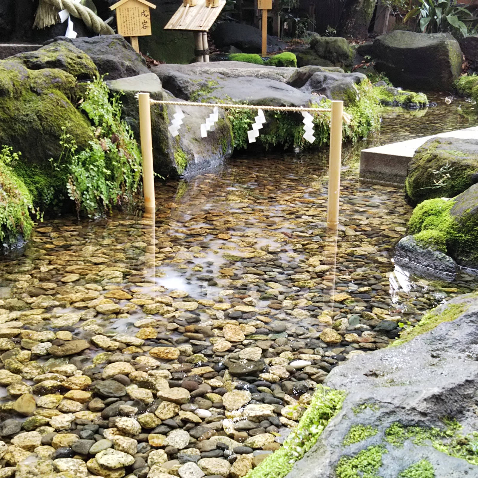 AQUOS sense liteで撮影:重みと透明感がある神社の風景