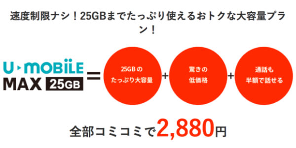 大容量25GBのデータ通信が魅力!