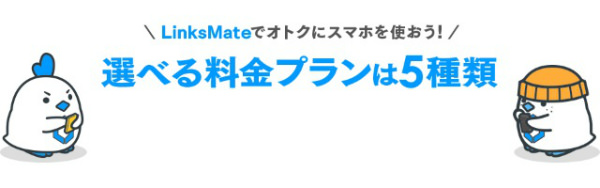 データ容量は5つのプランから選択できる
