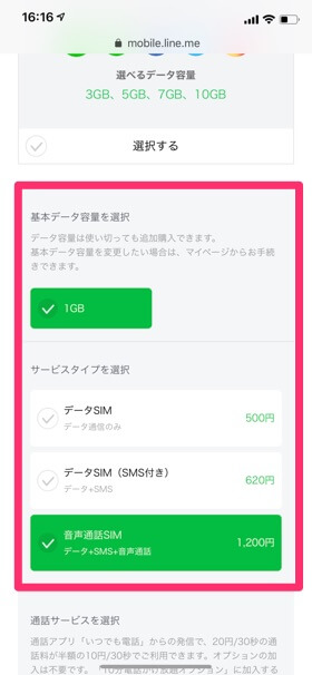 データ容量とSIMのタイプを選択。通話オプションを使いたい場合はチェックを入れる