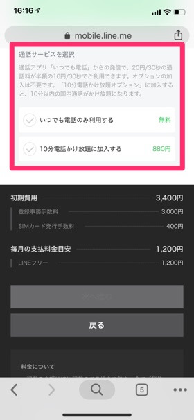 データ容量とSIMのタイプを選択。通話オプションを使いたい場合はチェックを入れる