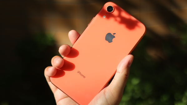 iPhone XR カラー比較