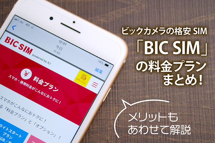 ビックカメラの格安SIM「BIC SIM」の料金プランまとめ! メリットもあわせて解説