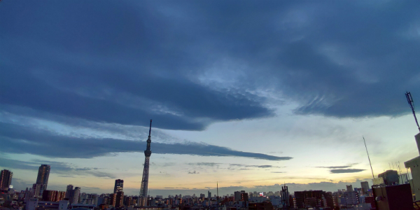 景色の撮影では広角カメラが活躍