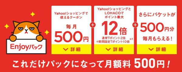 月額500円(初月無料)でさまざまな特典が付与されるオプションパック