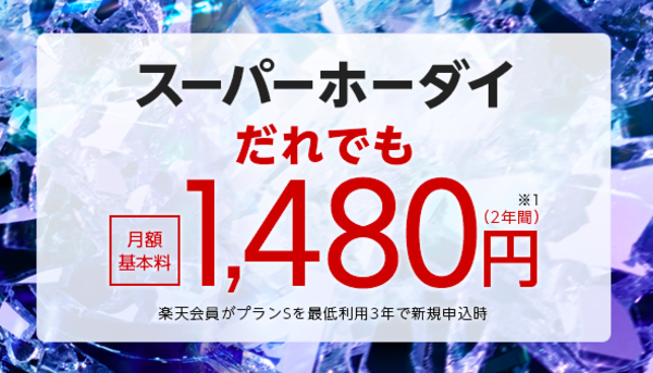 「スーパーホーダイ」の概要をチェックしていきましょう