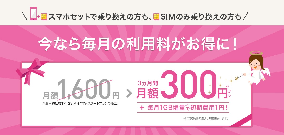 人気のオプションキャンペーン