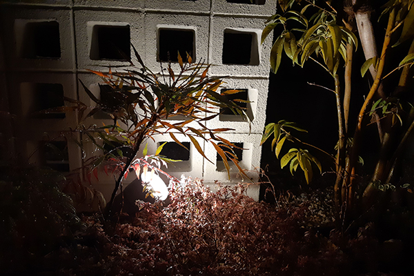 左が自動モード、右が夜景モードにて撮影しています。