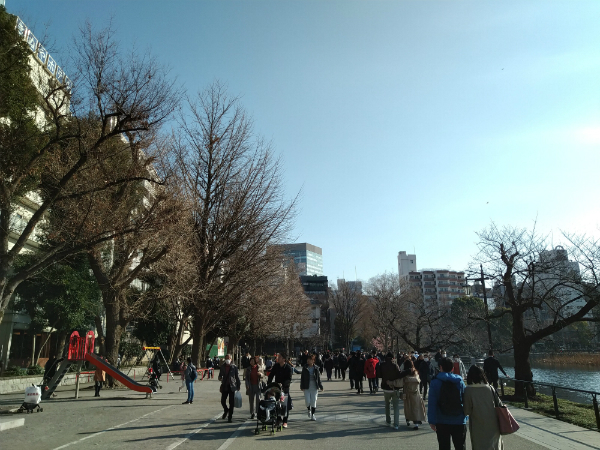 日中の屋外