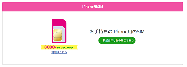 iPhone用SIM