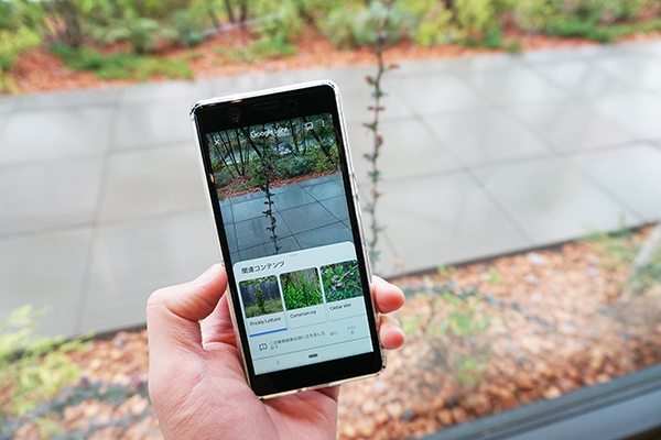 Google Lensを使って被写体にピントを合わせると自動で認識判別してくれます