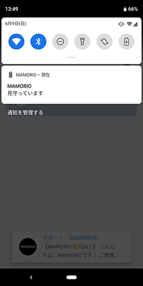 MAMORIO レビュー - MOBARECO