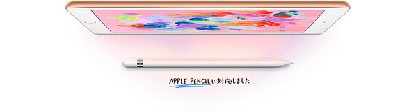 ドコモのiPadの維持費はいくら?2台持ちを最安値で運用する方法を解説